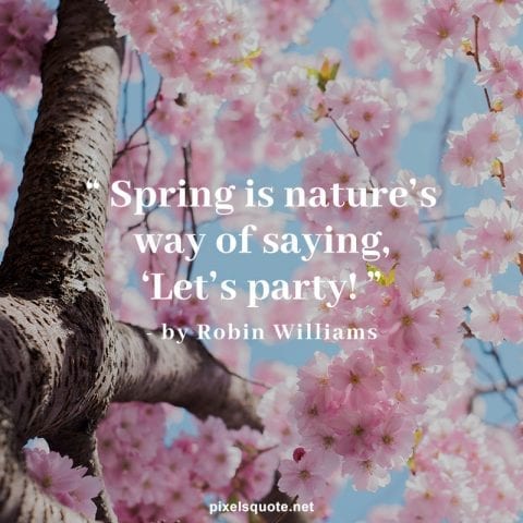 Spring Nature quotes.