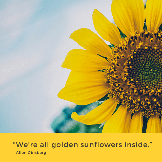 Spring Sunflower quote