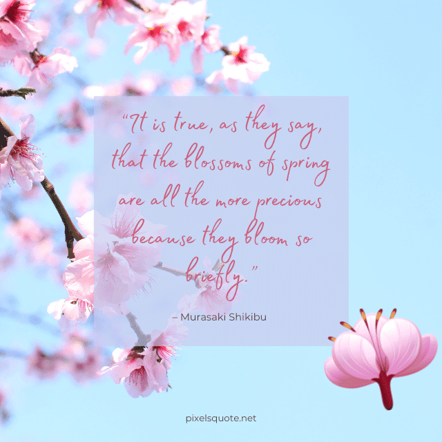 Cherry Blossom Quotes with Beautiful Images | PixelsQuote.Net