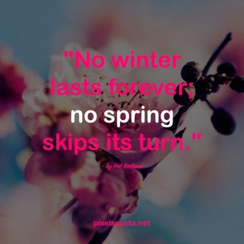 Spring quotes 3.