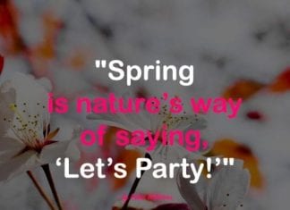 Spring quotes 4.