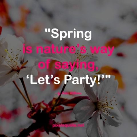 Spring quotes 4.