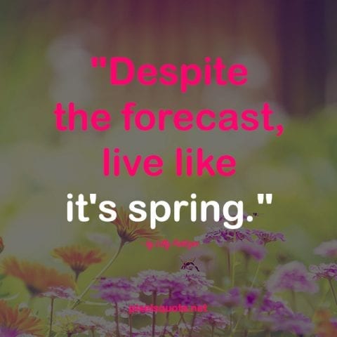 Spring quotes.