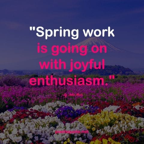 Springtime quotes 3.