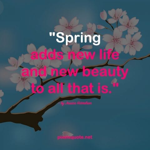 Springtime quotes 4.