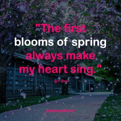 Springtime quotes 5.
