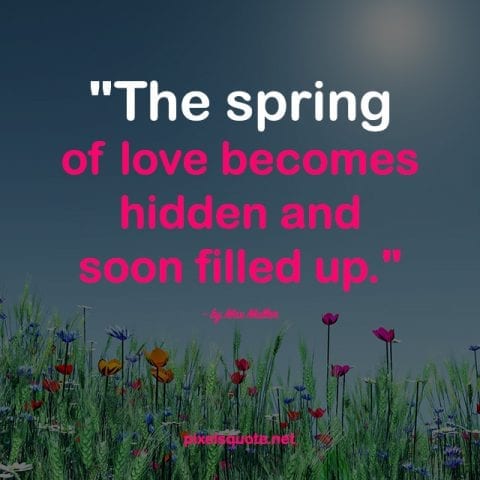 Springtime quotes.