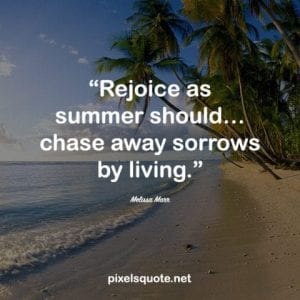 60 Summer Quotes help you enjoy this Summertime happily | PixelsQuote.Net