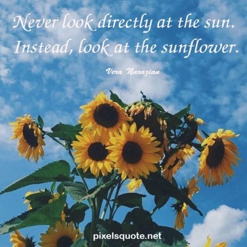 Sunflower Quote from Famous people.