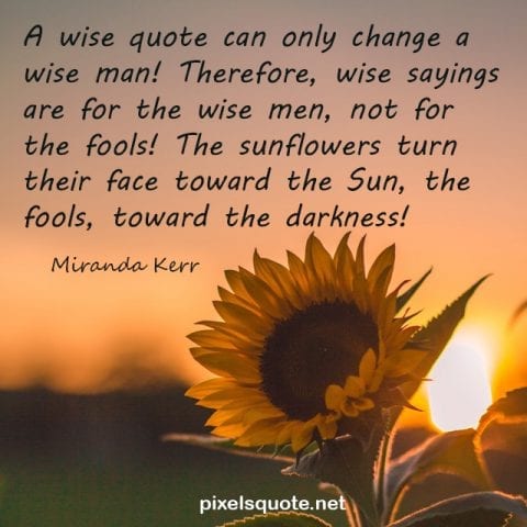 Sunflower Quotes.