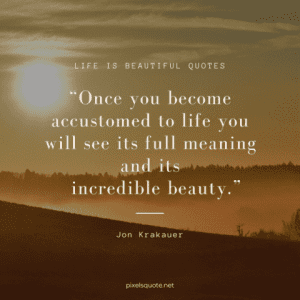 50 life is beautiful quotes with images | PixelsQuote.Net