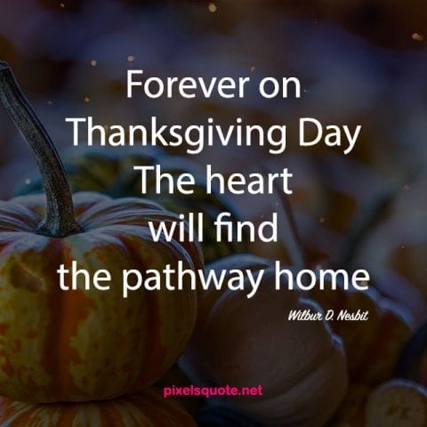 The Best Thanksgiving Quotes For Happy Thanksgiving Day Pixelsquote Net