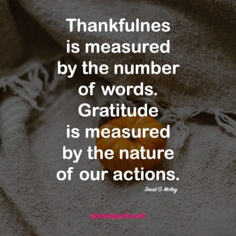 Thanksgiving Quotes 2.