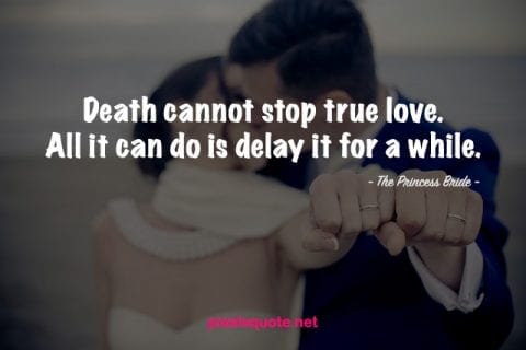 True Love Quotes 5.