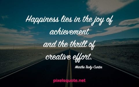 True happiness quotes