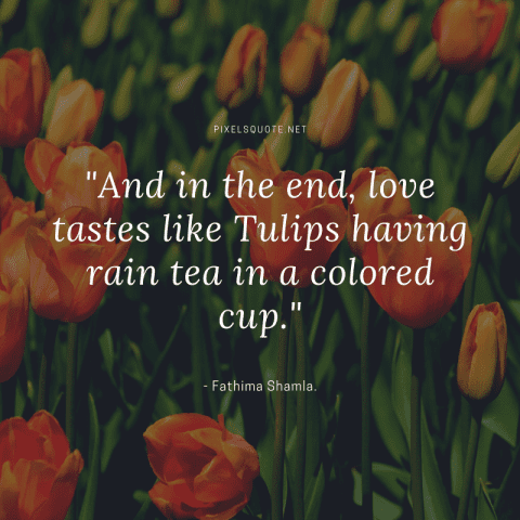 Tulips love quotes.