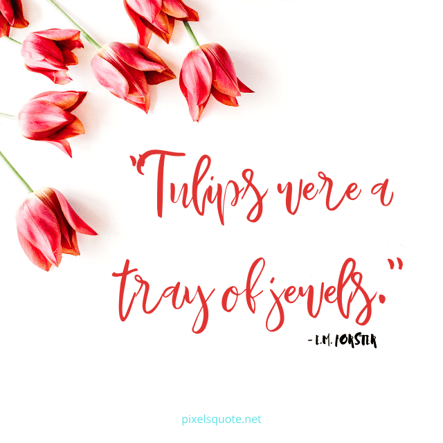 Tulips quotes.