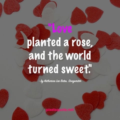 Valentines Day Quotes 5.