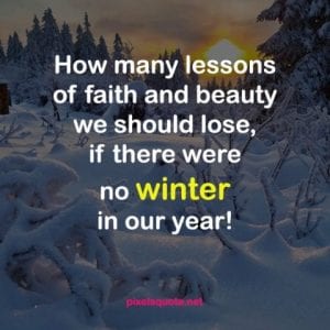 Winter Quotes to keep you Cozy and Motivated | PixelsQuote.Net