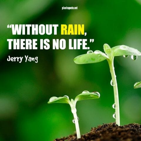 Without rain there is no life.