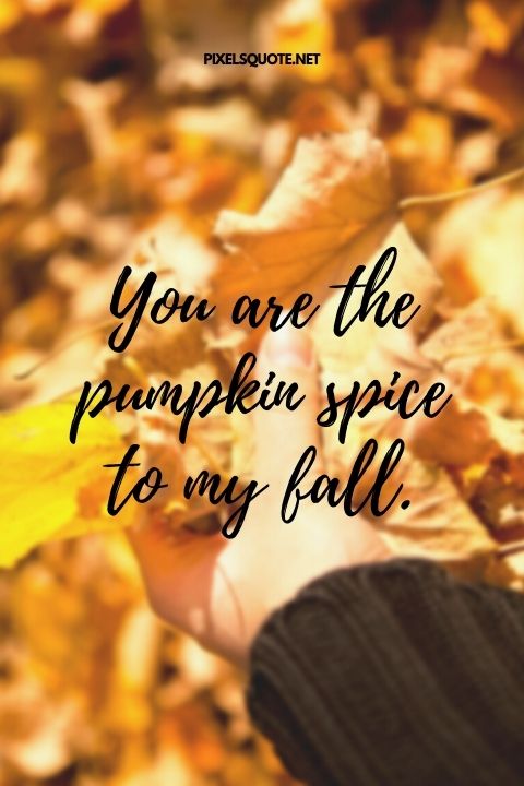 You are the pumpkin spice to my fall.