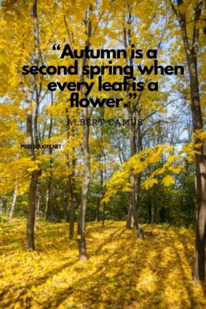 Fall Quotes - Best Inspirational Sayings About Autumn 