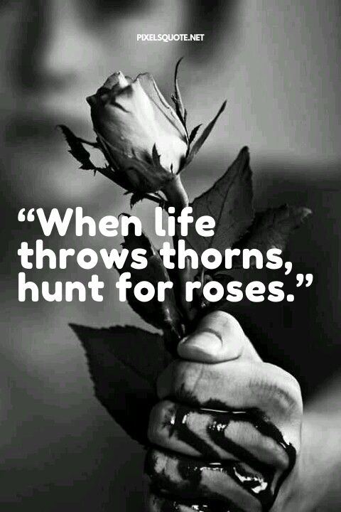 “When life throws thorns, hunt for roses.”